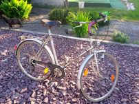 Rower Pegasus 28"