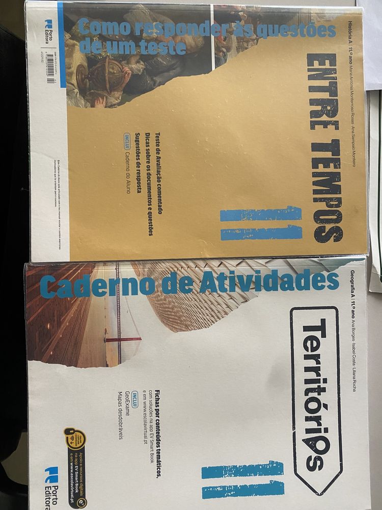 Cadernos de atividades 10 e 11 ano de escolaridade