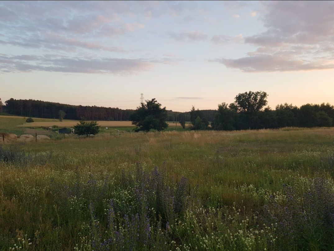 Działka rolno-budowlana duża 0,35ha przy Zielonej Górze / PłaskiDach !