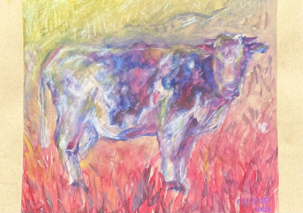 Prace plenerowe z Polanicy Zdrój