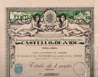 1 Acção da Empresa das Águas Alcalinas-Medicinais de Castelo de Vide