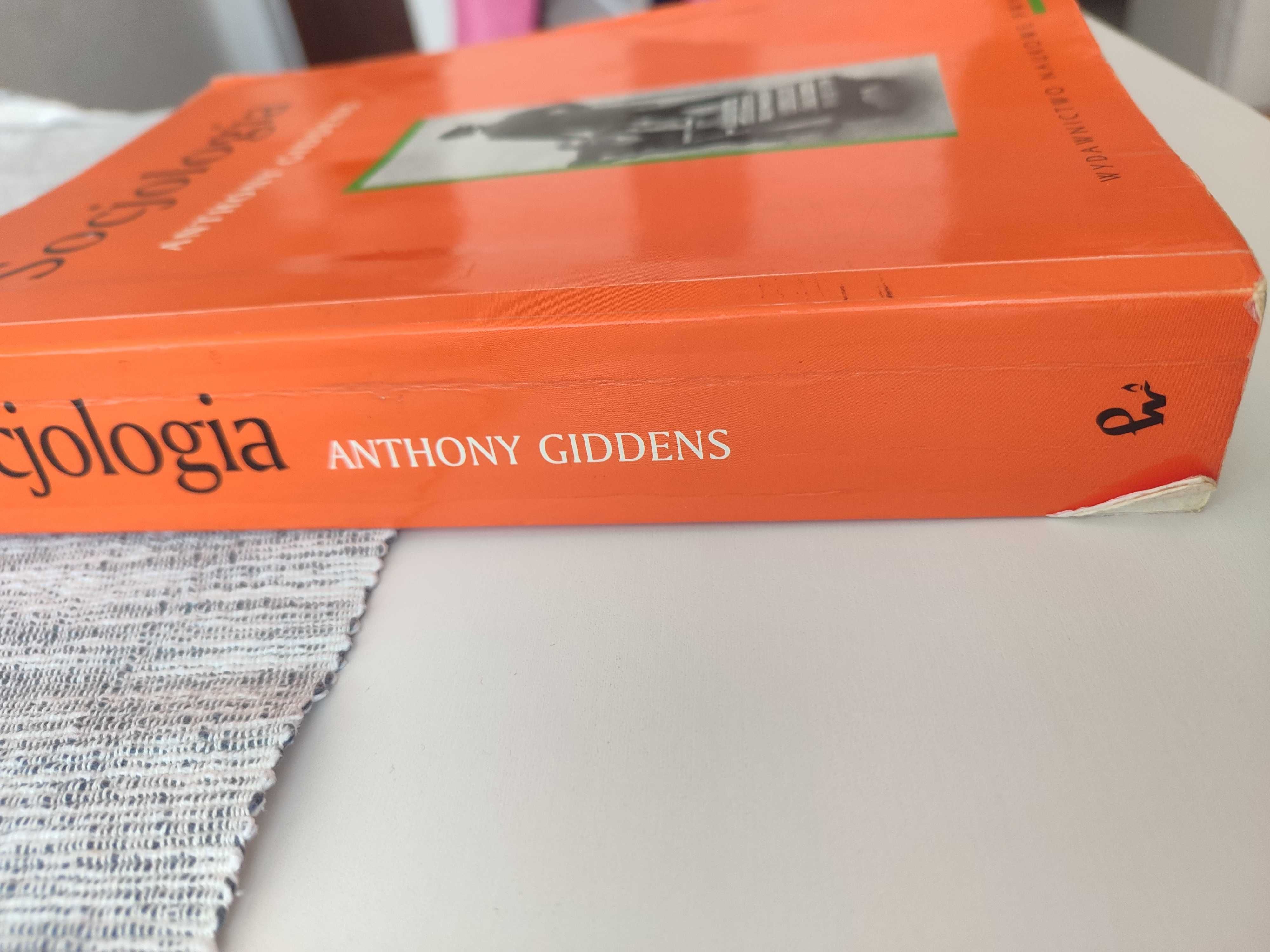 Anthony Giddens Socjologia wydanie 2 PWN 2006