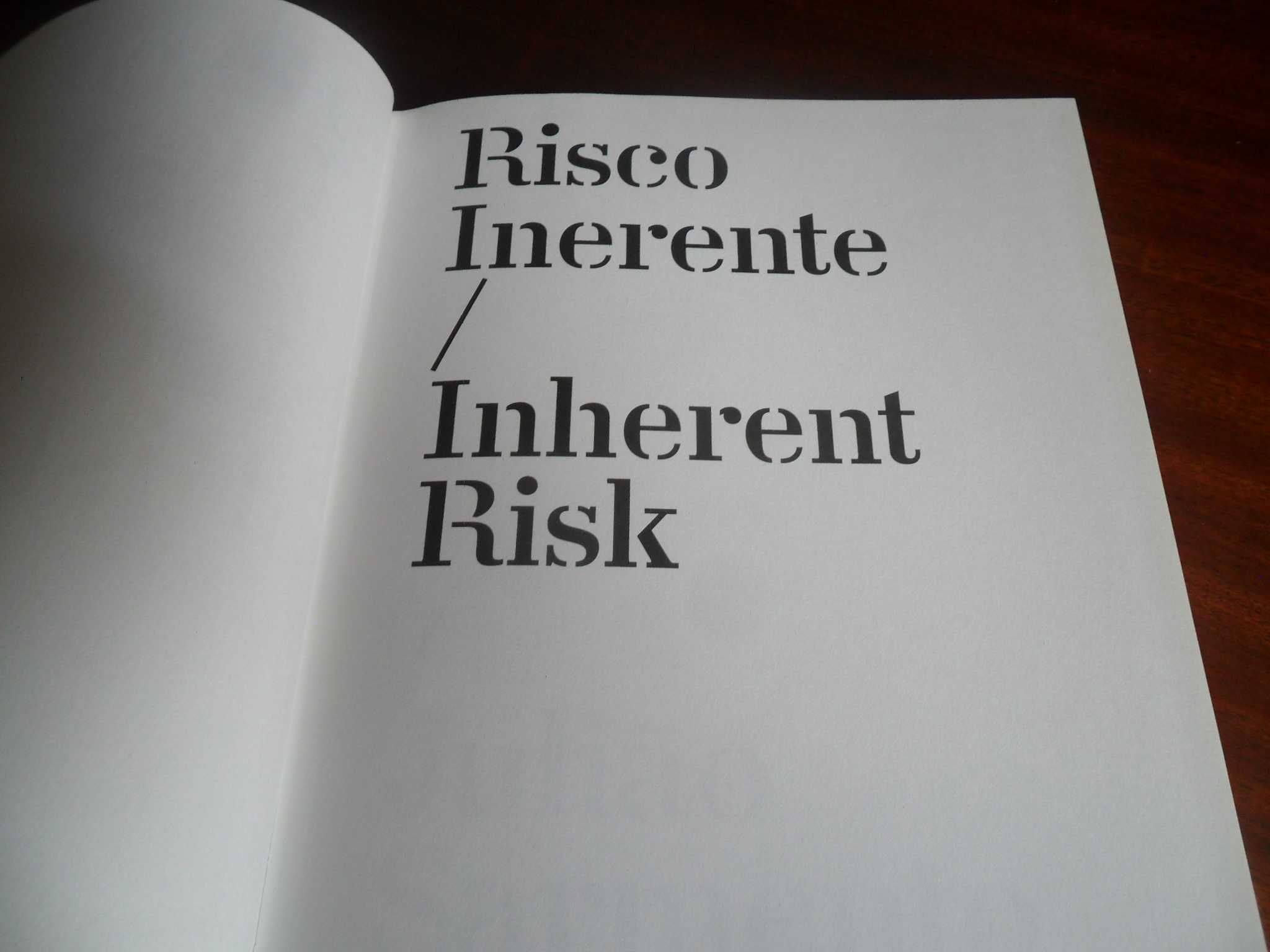 "Risco Inerente / Inherent Risk / Julião Sarmento" de Delfim Sardo