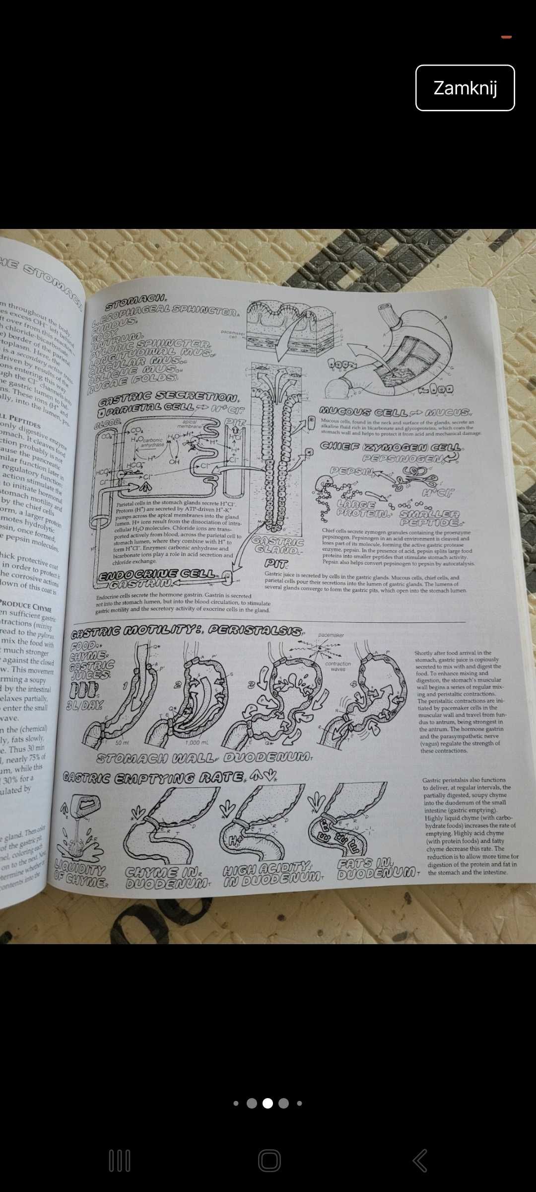Anglojęzyczne atlasy anatomiczne