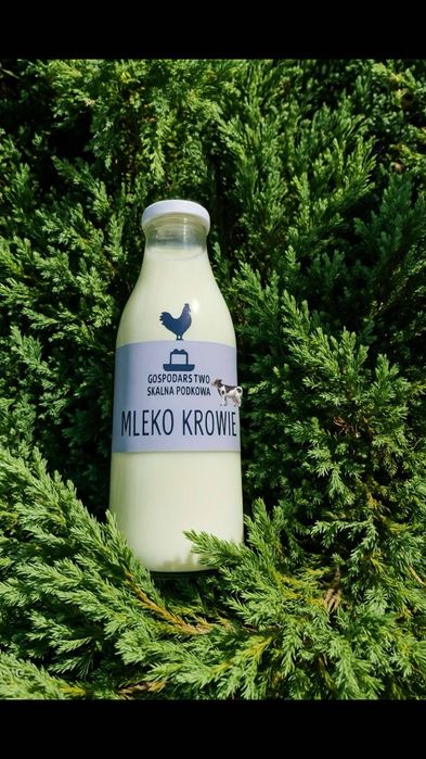 Mleko świeże z doju rano I wieczorem