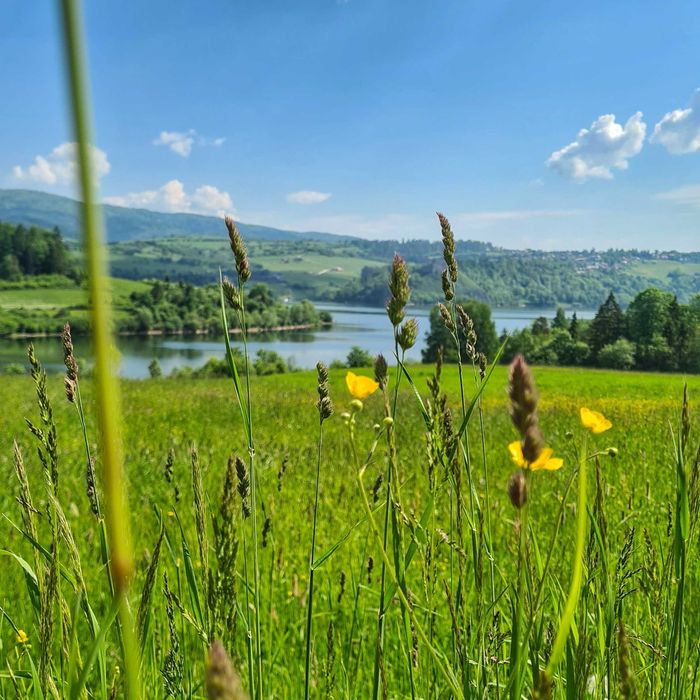 Urlop w Pieninach! Domek z balią na wyłączność!