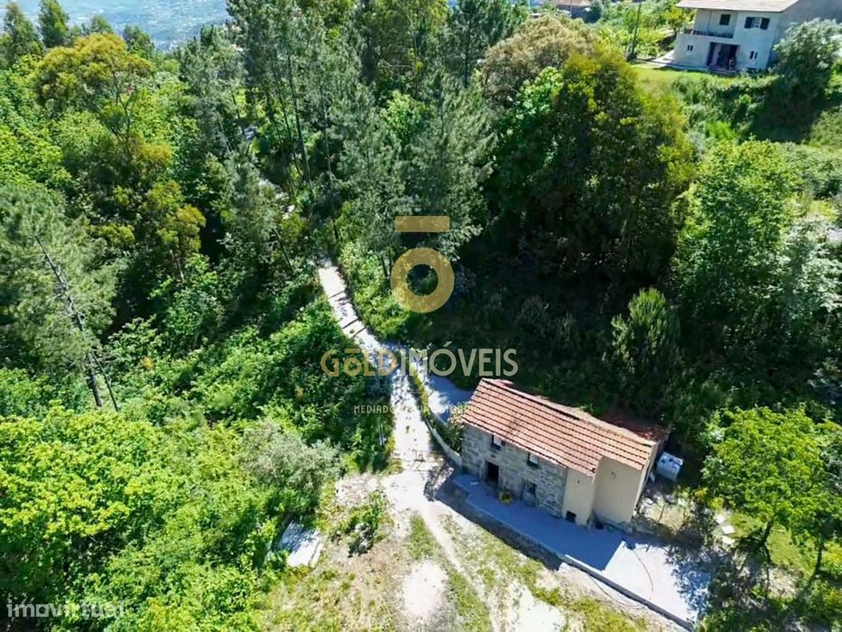 Terreno Rústico  Venda em Santiago de Piães,Cinfães