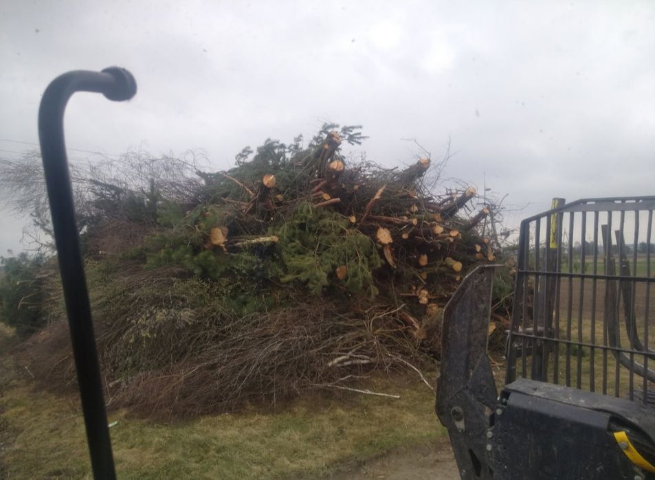 Wycinka drzew, zakrzaczeń karczowanie usuwanie karpiny