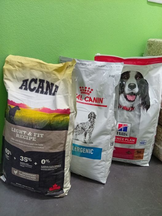 Ração para cão - stock off