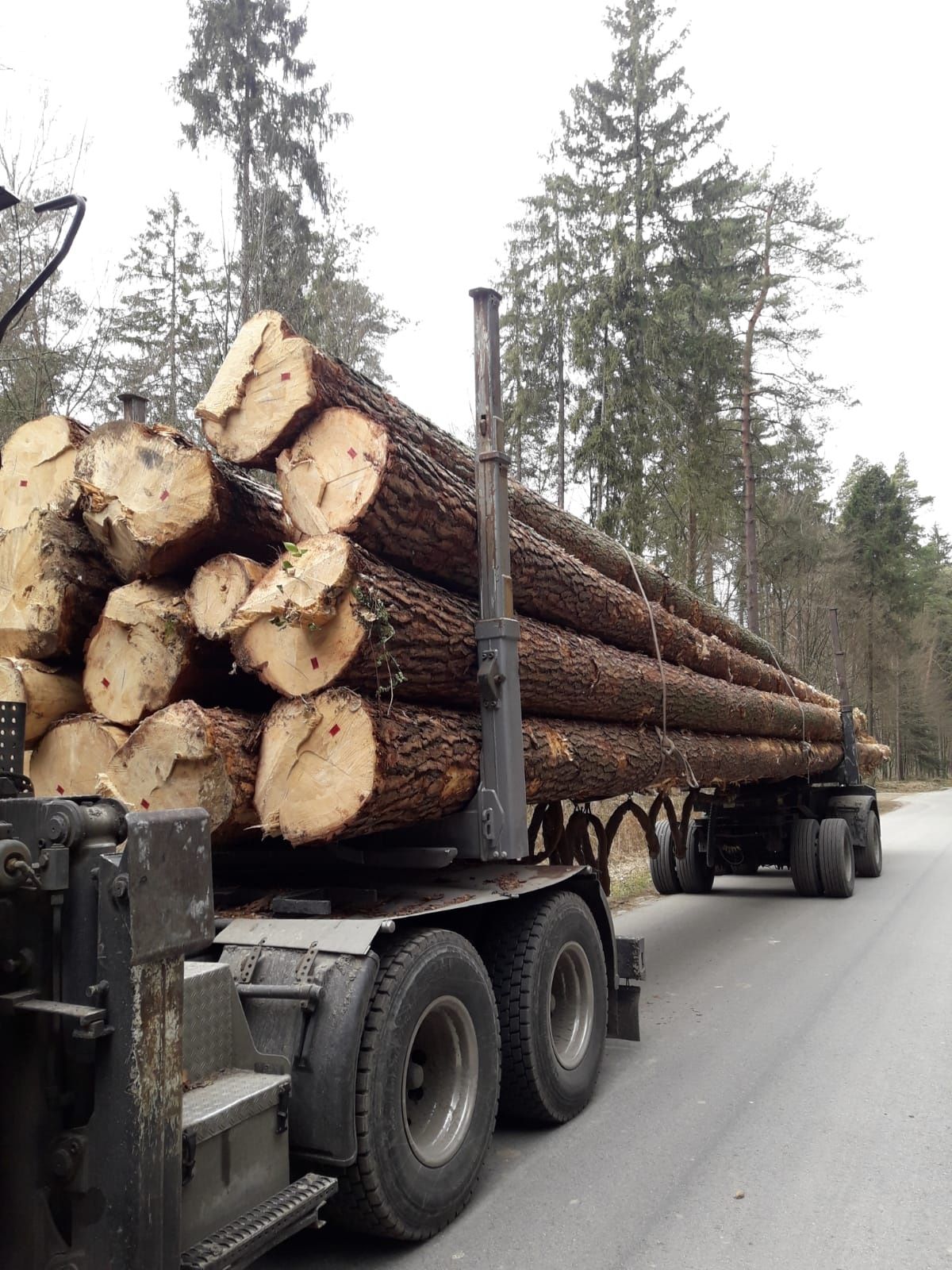 Drewno tartaczne sosna,dłużyca,drzewo,więźba,transport,tartak,dach