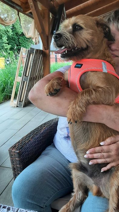 Przeuroczy Tofik chce mieć domek