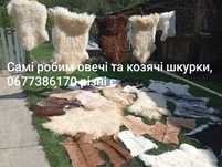 Овечі та козячі вичінені шкурки