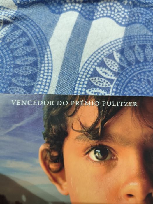 Livro "A Odisseia de Enrique" portes incluídos