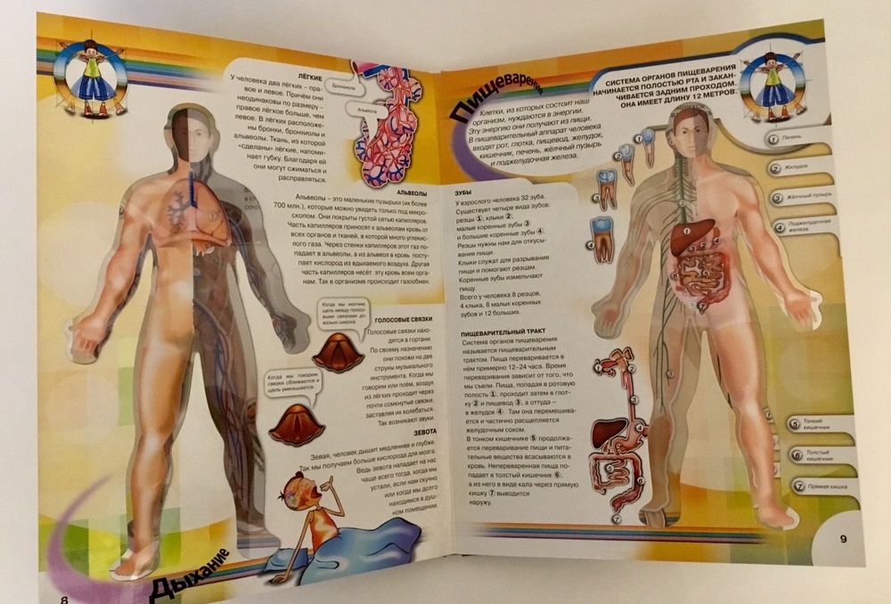 Тело человека книга для детей