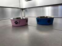 Tigelas de cão antiderrapantes