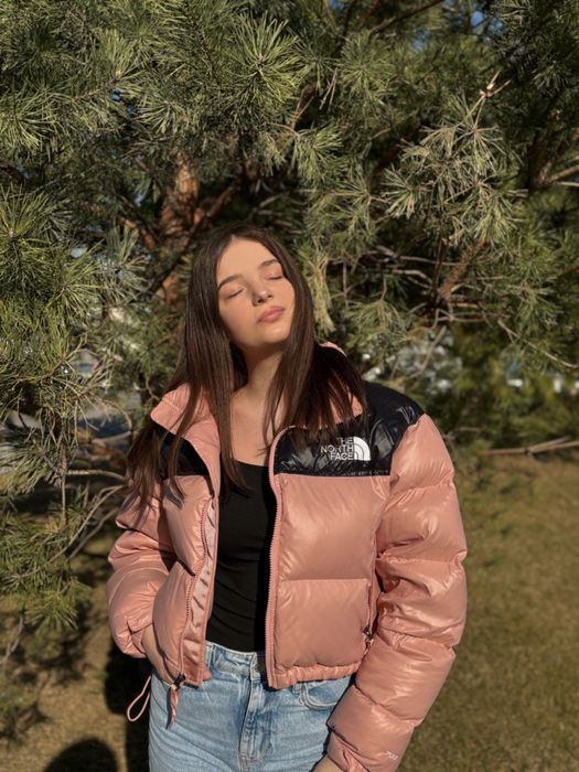 Укорочений дутий топ - пуховик the north face 700 nupts