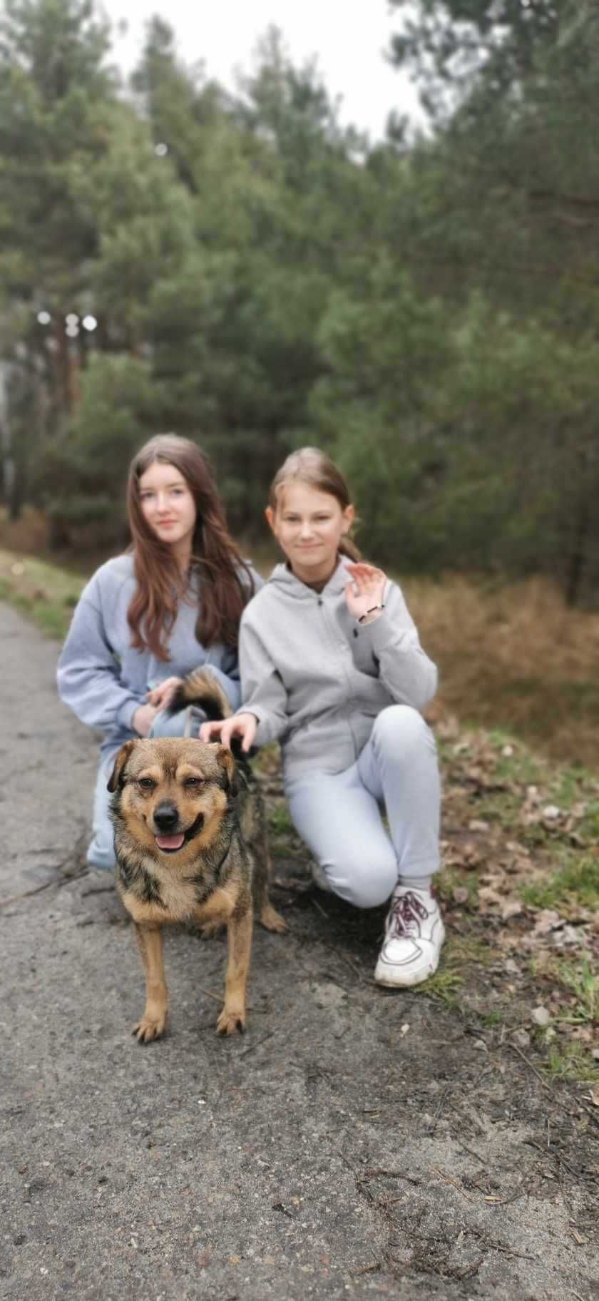 Szofer  - aktywny psiak potrzebuje kochającej rodziny