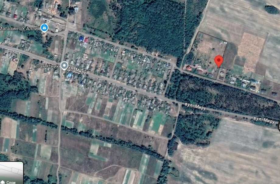 Два будинки 132квм і 60квм на 68 сотках Вишгородський Федорівка