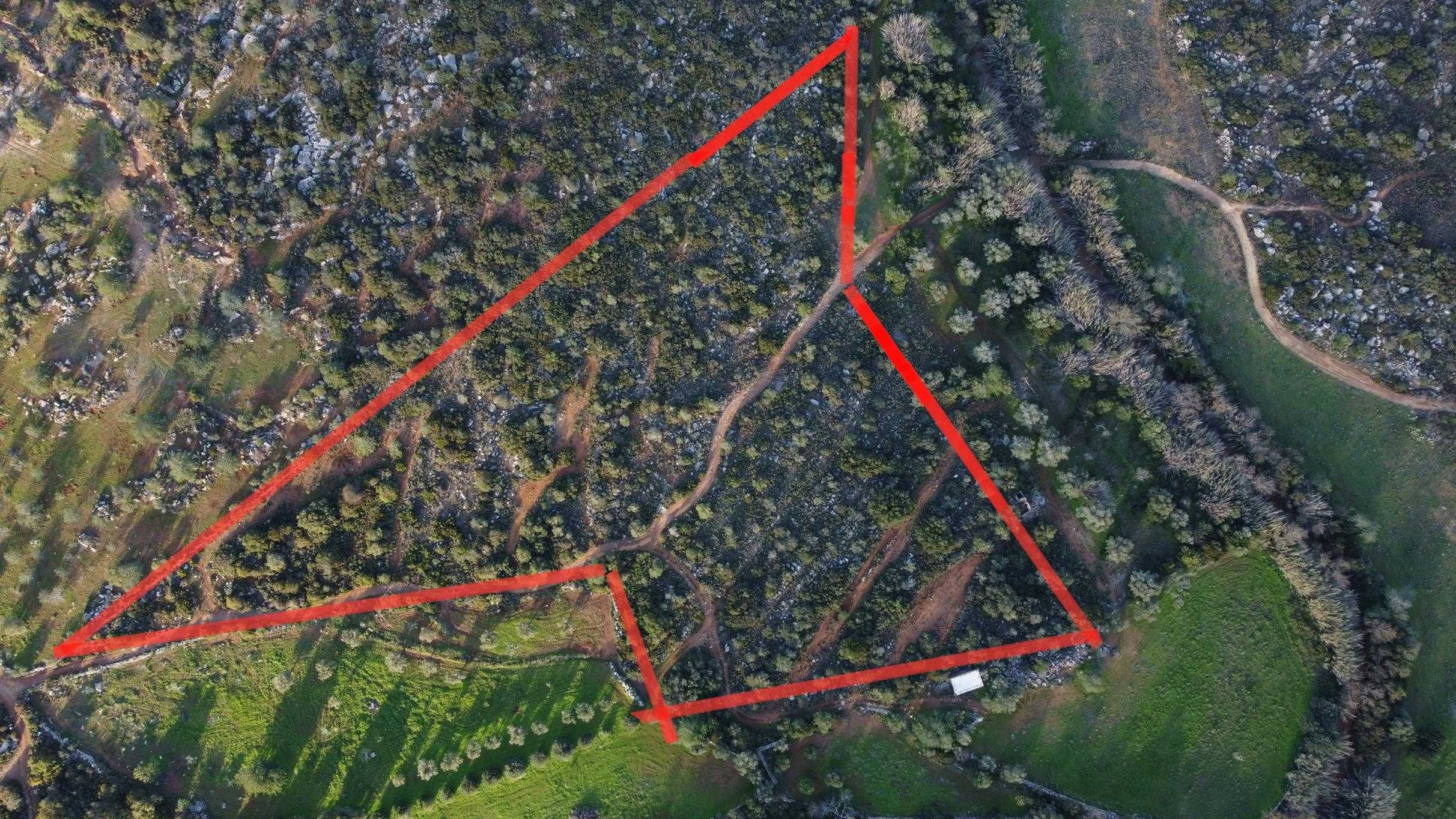 Terreno Rustico Algarve 19500m2
