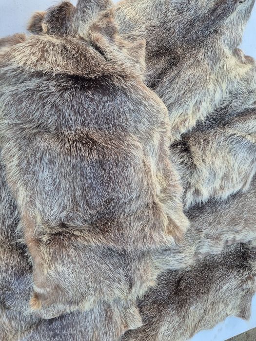 Futro, skórka z nutrii