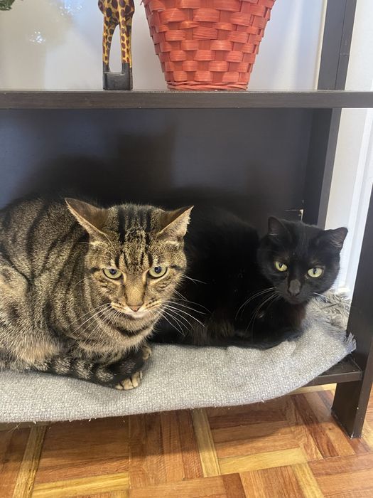 Doação! Ler anuncio