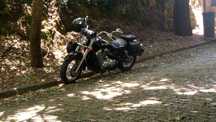 Vendo Honda Shadows 750