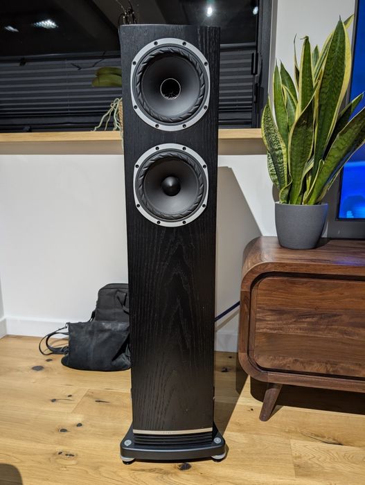Fyne Audio F501 czarne