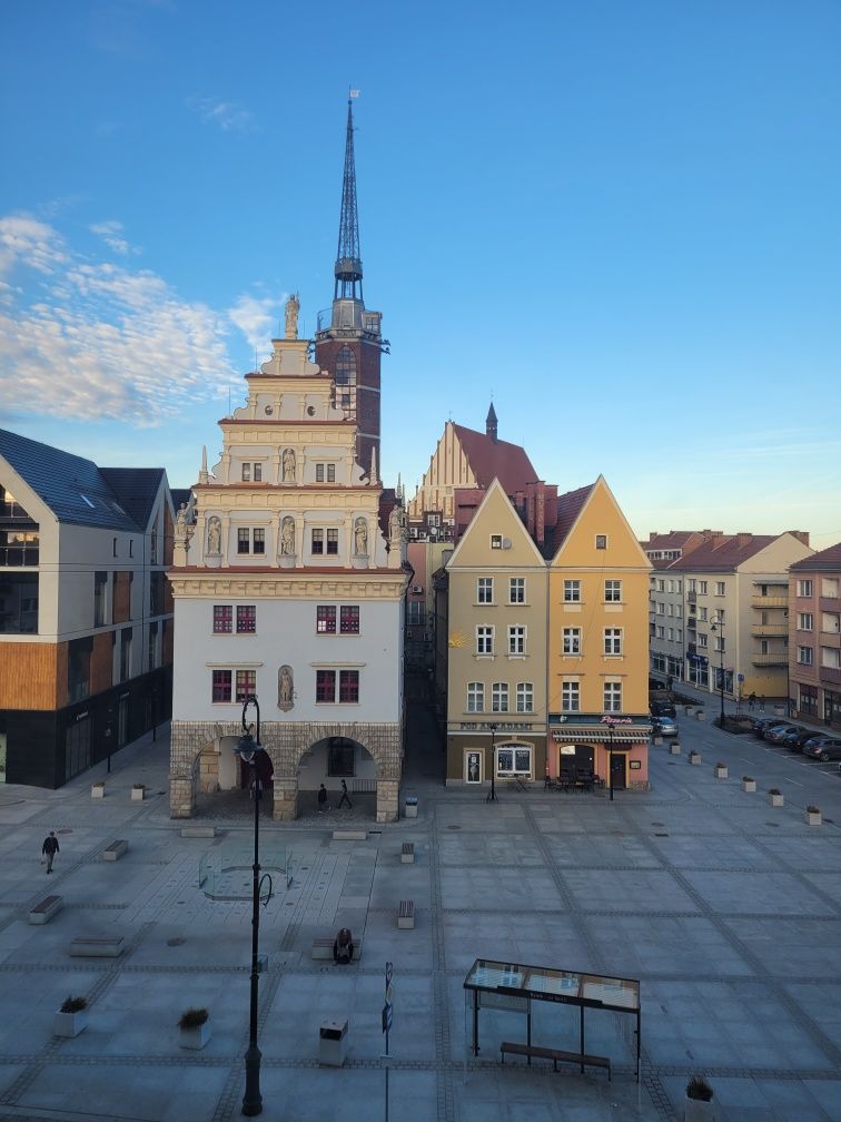 Mieszkanie w centrum do remontu