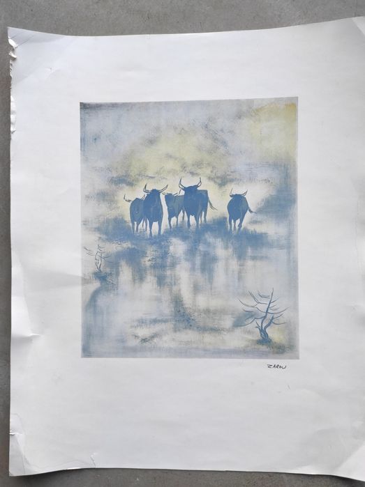 Stara grafika Sygnowana Byk, bawoły