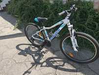 Rower MTB Kross Lea 1.0 super stan.