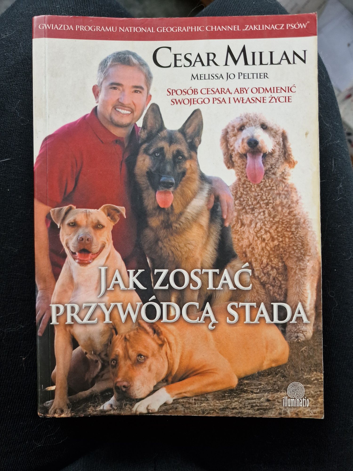 Jak zostać przywódcą stada Cesar Millan