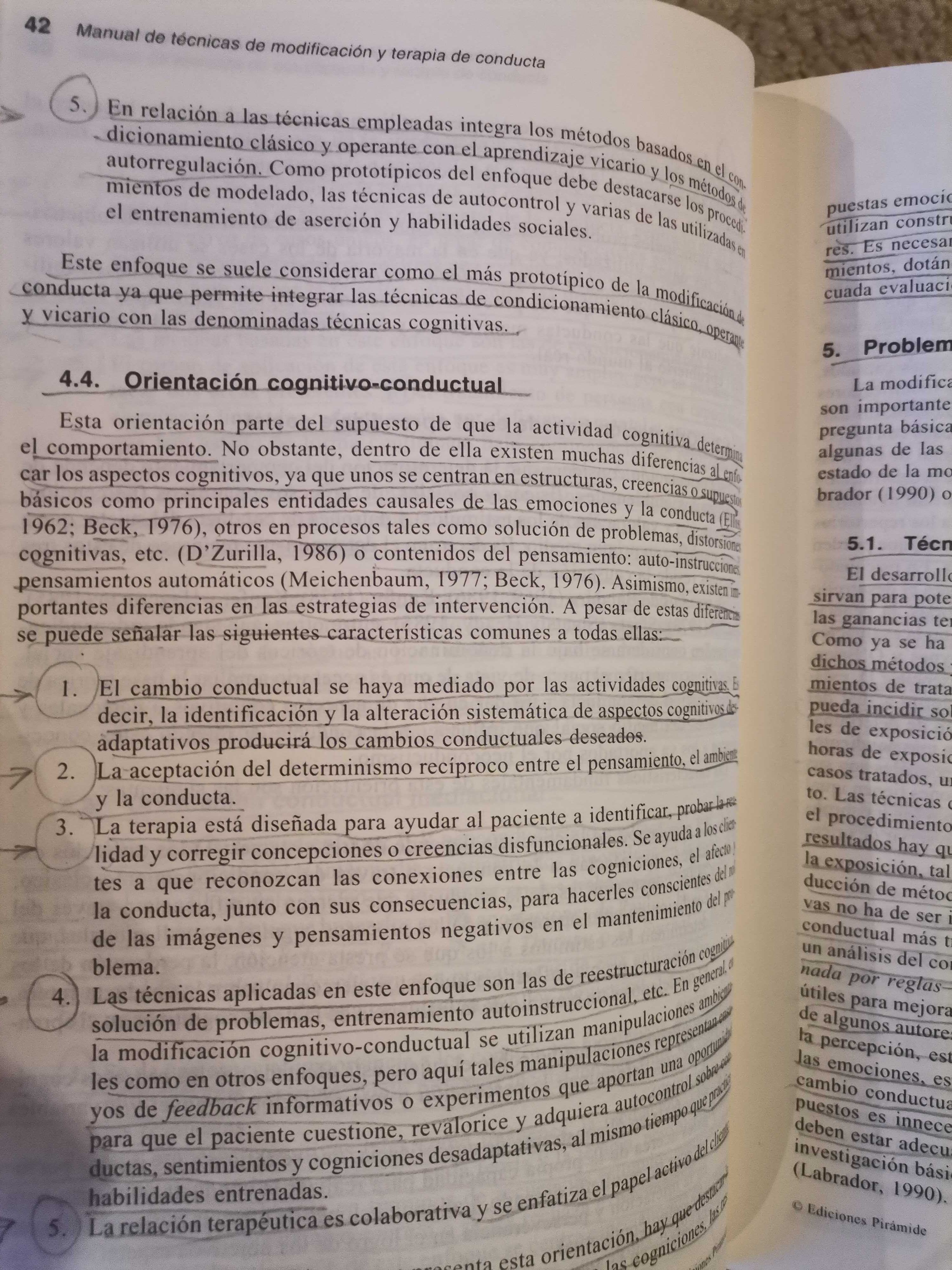 Manual de Técnicas de Modificacion y terapia de conducta