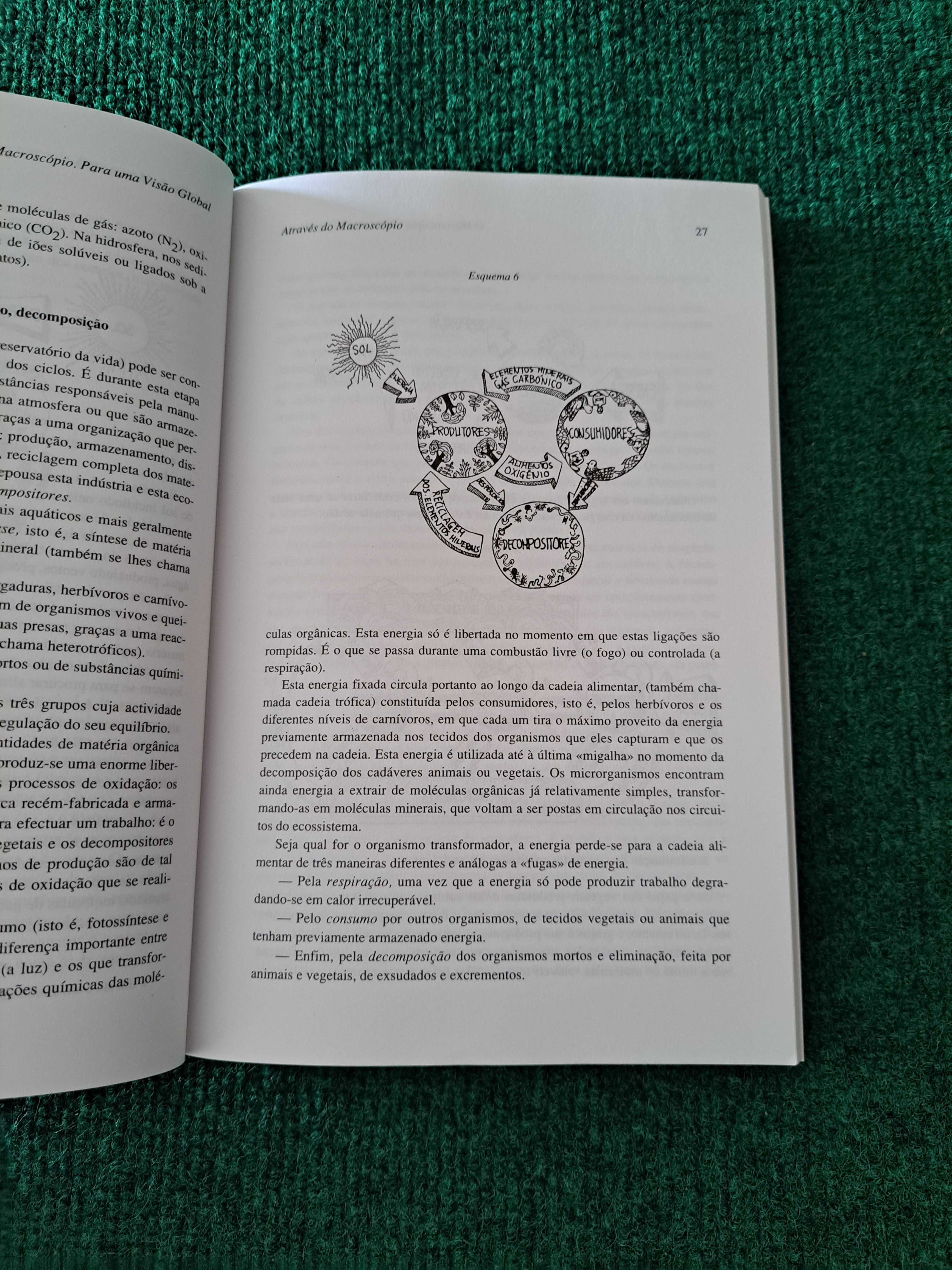 O Macroscópio - Para uma visão global - Joel de Rosnay