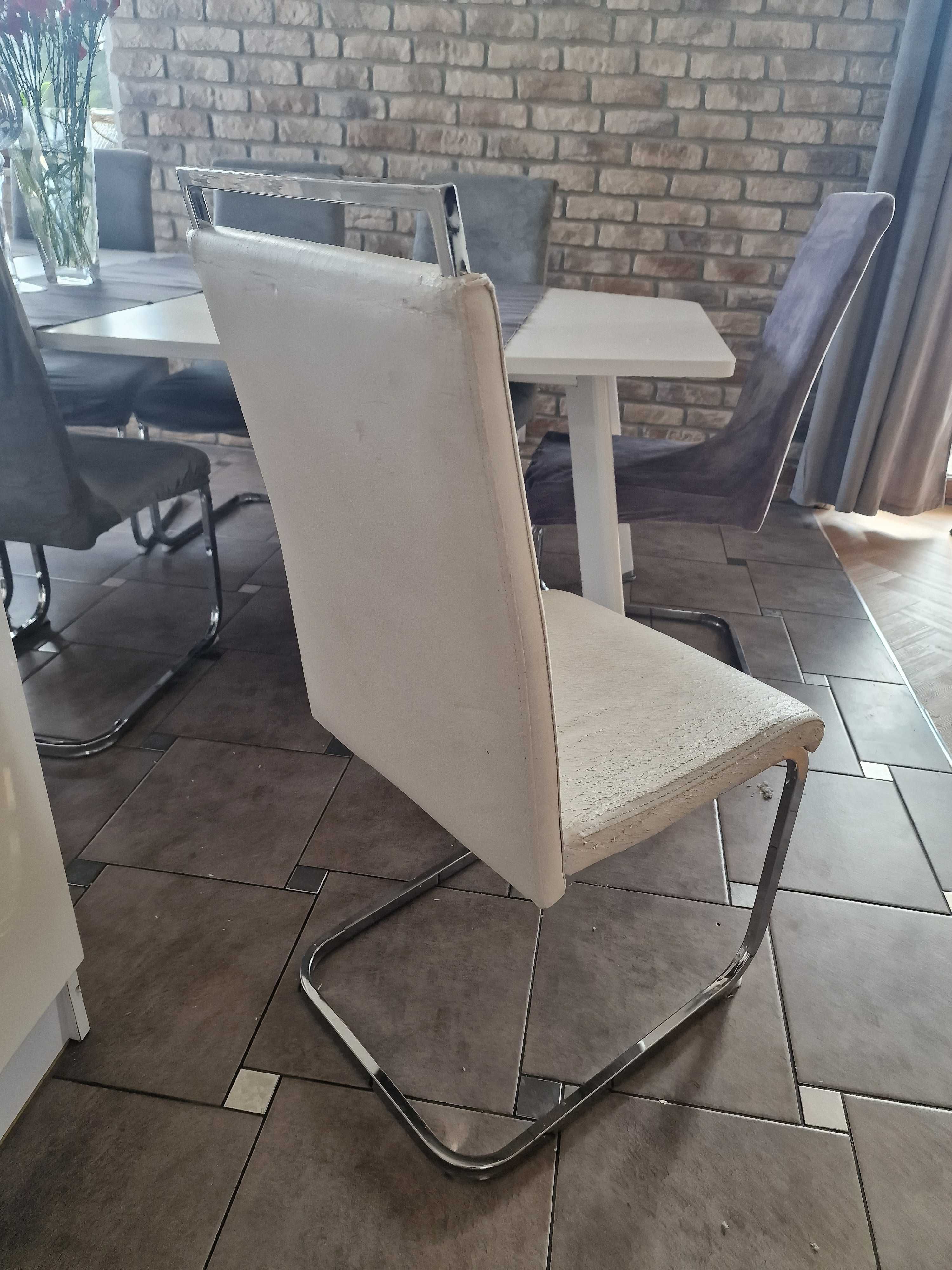 Stół 240 + 8 krzeseł