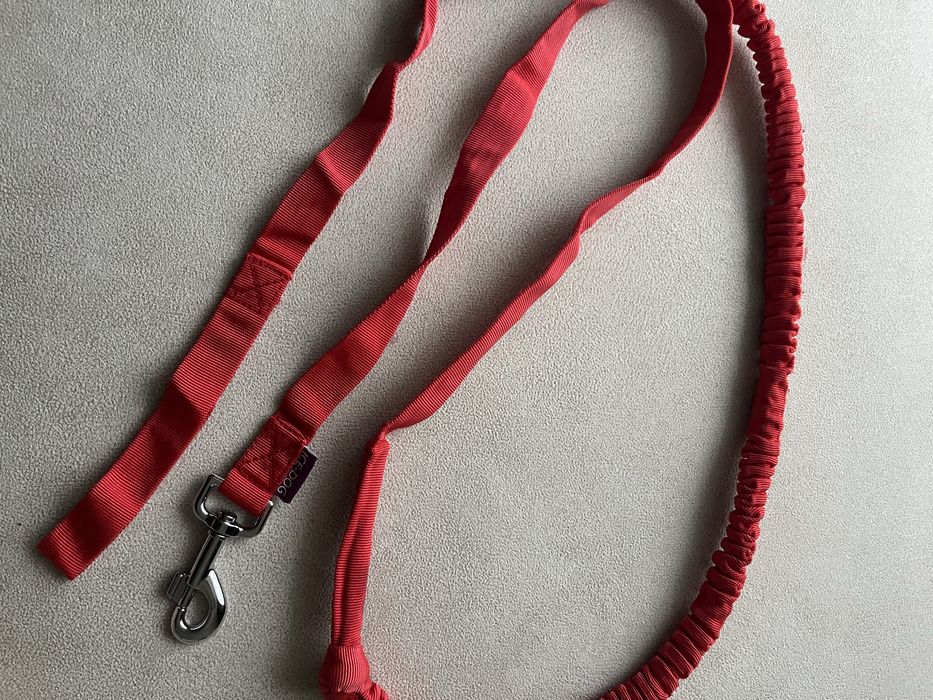 Їздова шлейка для собак, поводок потяг для собак