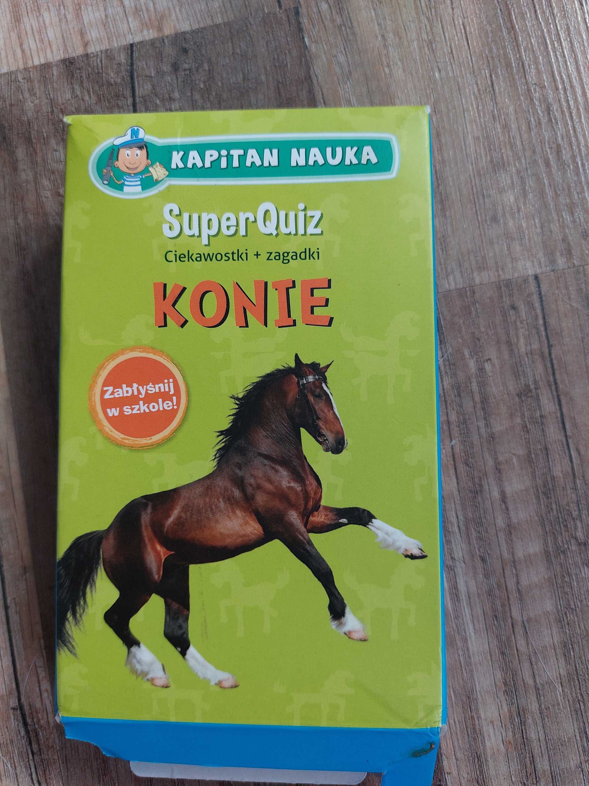 Quiz quizy  konie