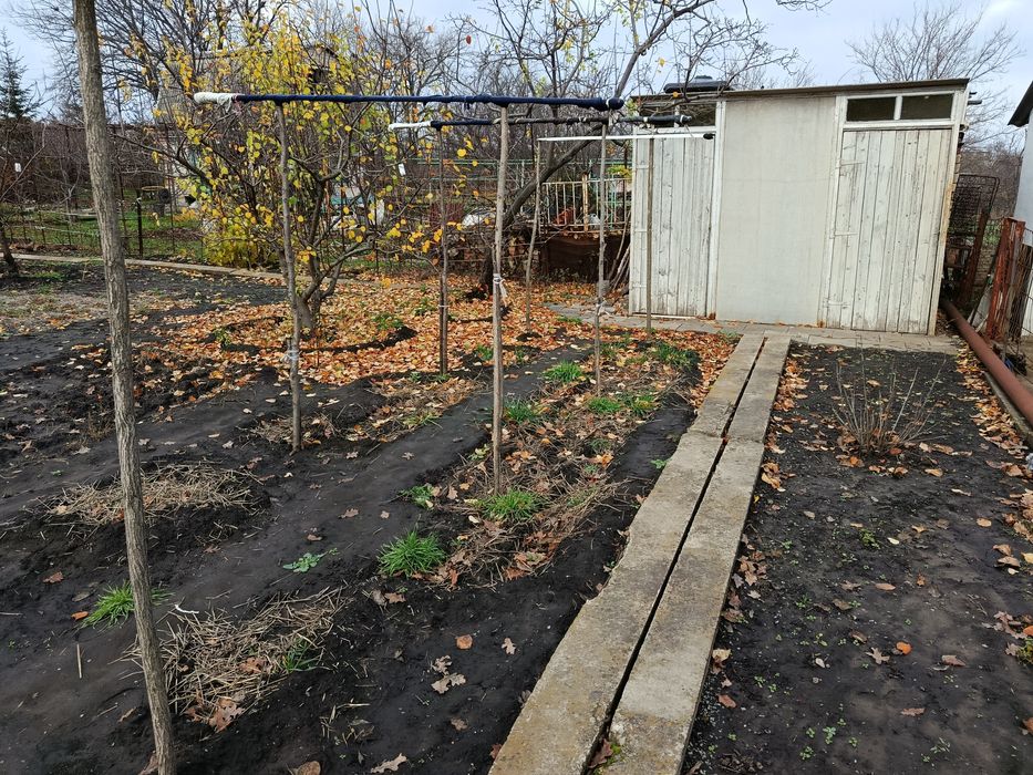 Дачный участок с огородом. Вольный посад