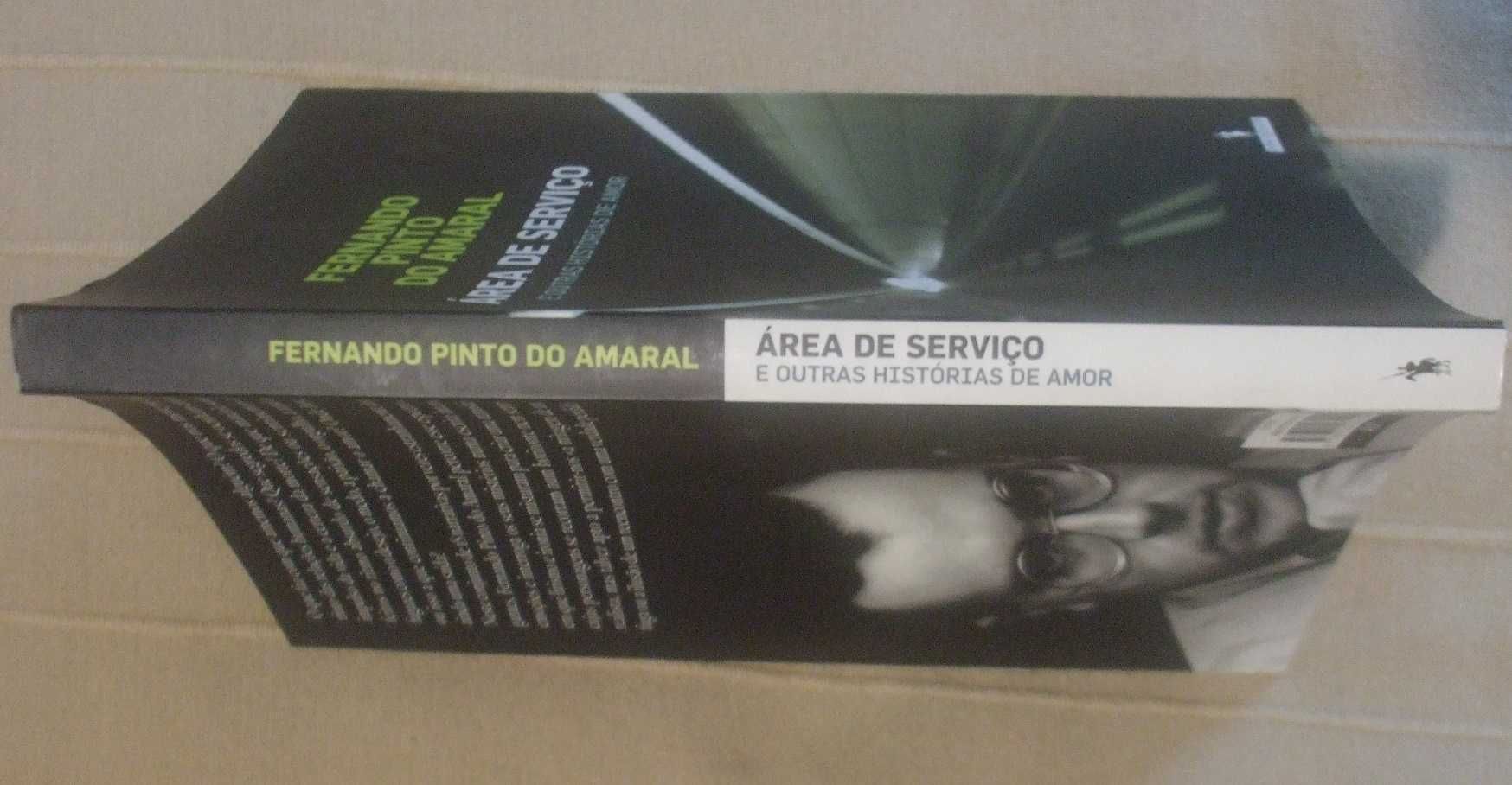 Área de serviço e outras histórias de amor, Fernando Pinto do Amaral