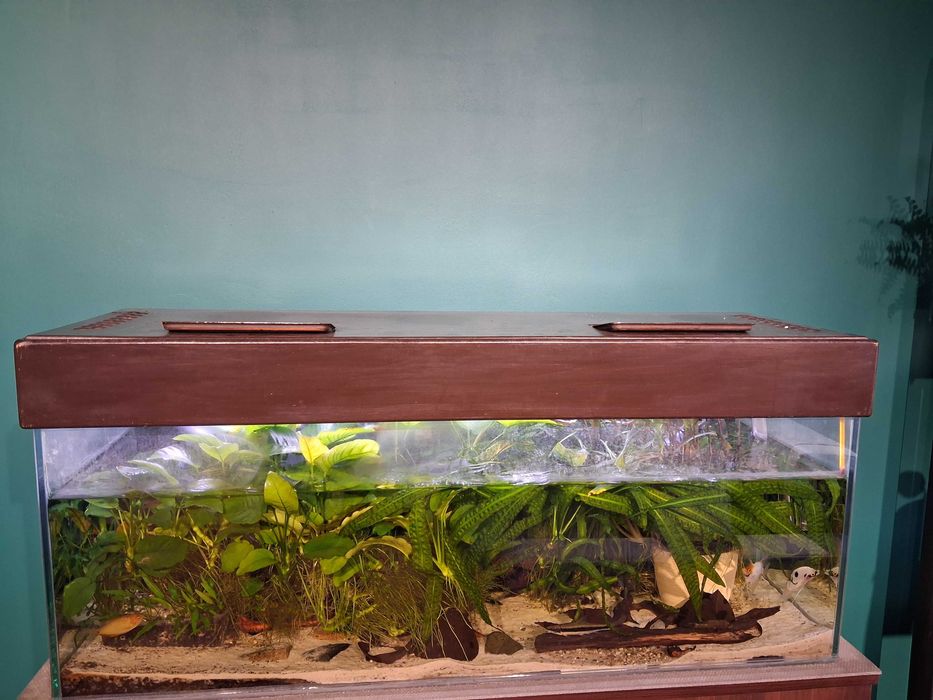 Akwarium 160 litrów