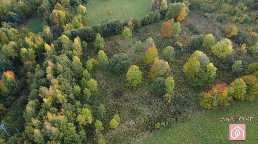 Zainwestuj w Ziemię! 1,28 ha Spokoju w Rozdzielu, gm. Lipinki