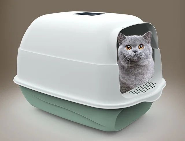 [NOVO] Caixa de areia gato com acessórios