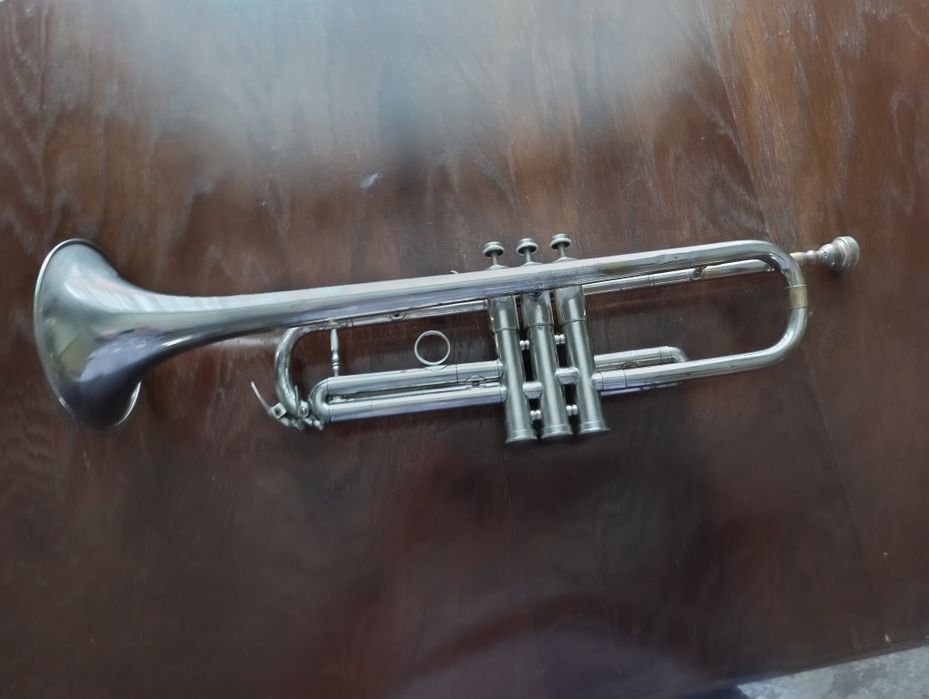 Труба музична біла