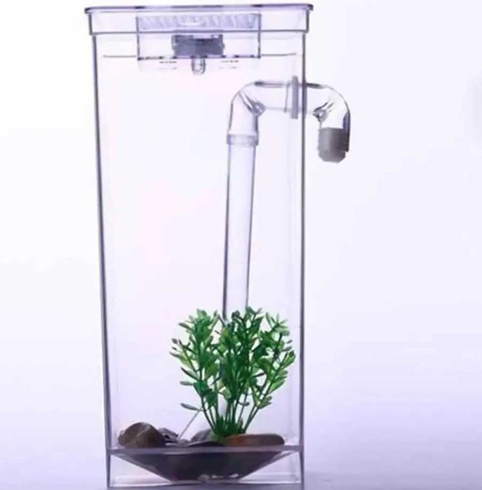 Аквариум самоочистка-дайвінг  в кімнаті