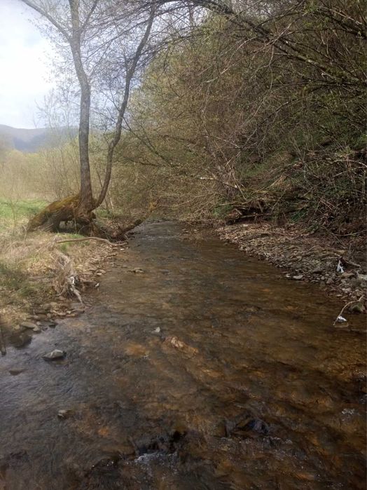 Продам будинок в Закарпатті