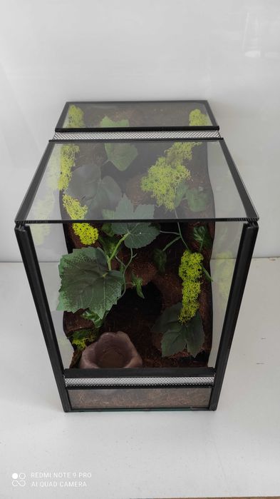 Terrarium dla pająka, ptasznika, AquaWaves, TW27TP