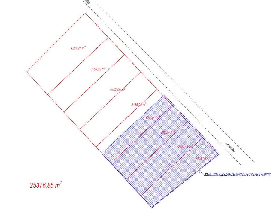 Czarnolas-Kolonia - Działka 2,5 ha na sprzedaż - Bezpośrednio