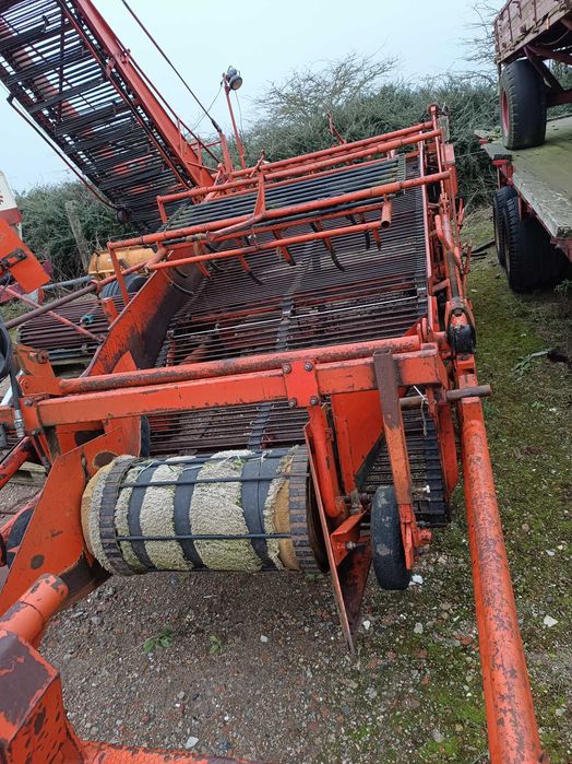 AMAC d2 zbieraczka kopaczka kombajn do zbierania cebuli zbioru warzyw