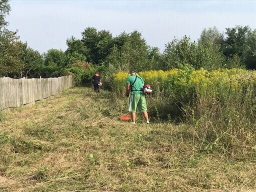 Czyszczenie i Porządkowanie działek