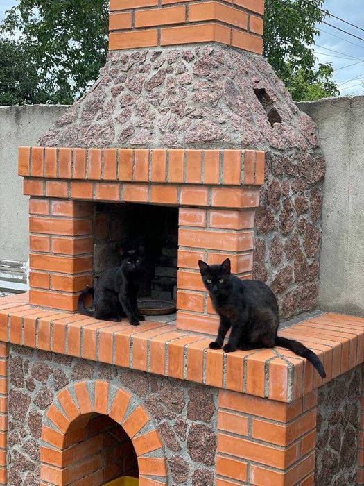 Продам уютный  дом в Фонтанке