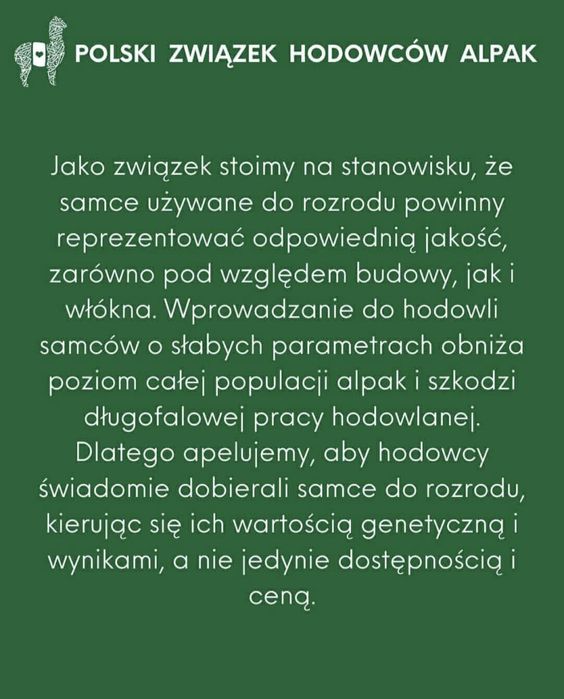 Sprzedam alpakę huacaya